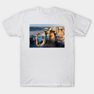 Alien Landscape T-Shirt